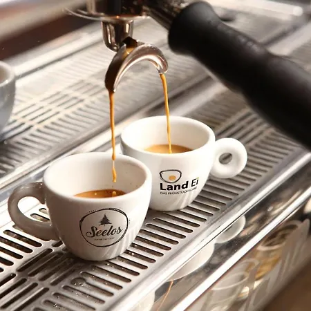 Seelos - Alpine Easy -