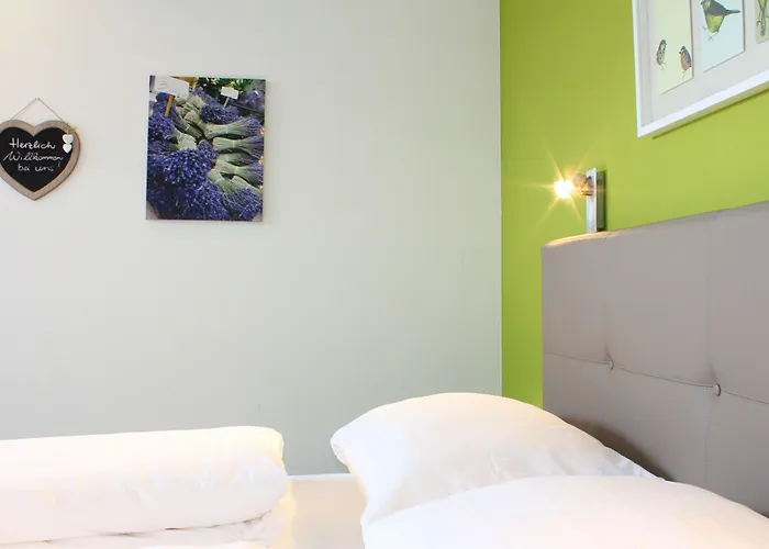 Seelos - Alpine Easy - מימינג