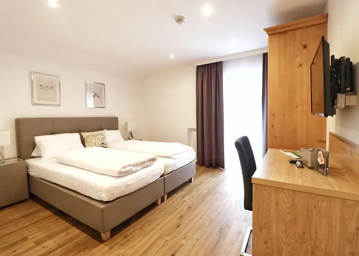 Seelos - Alpine Easy -