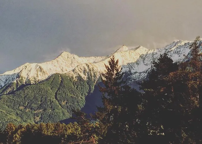 Seelos - Alpine Easy - Mieming