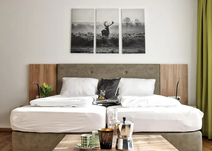 Seelos - Alpine Easy - מימינג