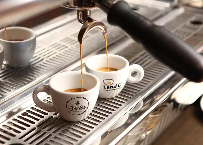 Seelos - Alpine Easy -