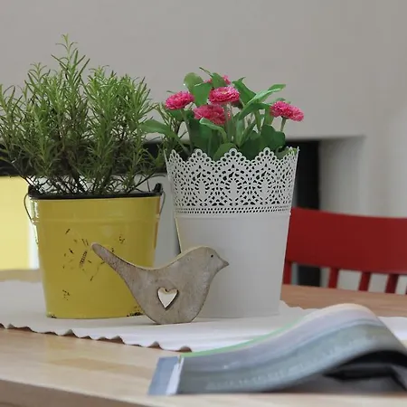 Seelos - Alpine Easy -