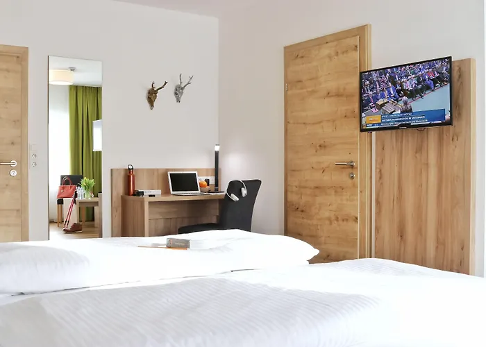 Seelos - Alpine Easy - Миминг