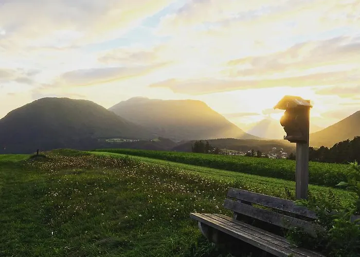 Seelos - Alpine Easy - Миминг